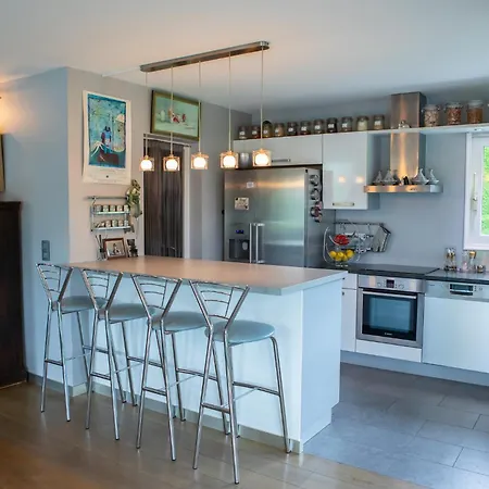 Modern With Swimming Pool Lake Access Nernier