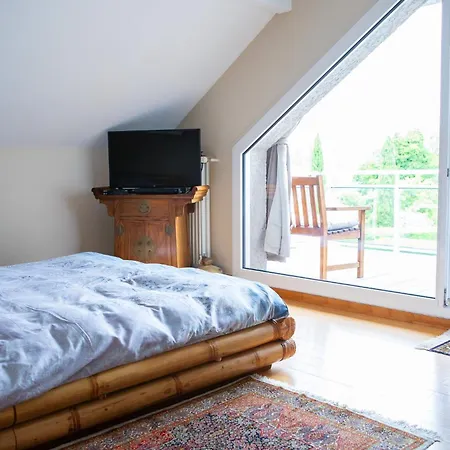 Modern With Swimming Pool Lake Access Villa Nernier