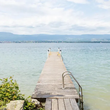 Modern With Swimming Pool Lake Access Nernier